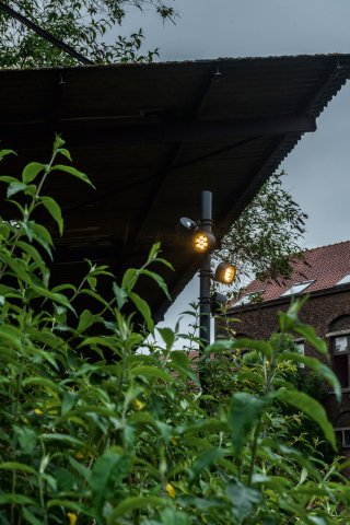 003411_REA003.jpg