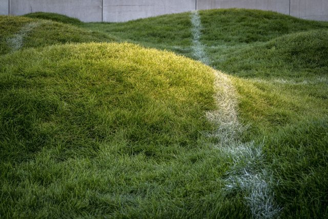 002987_REA04.jpg