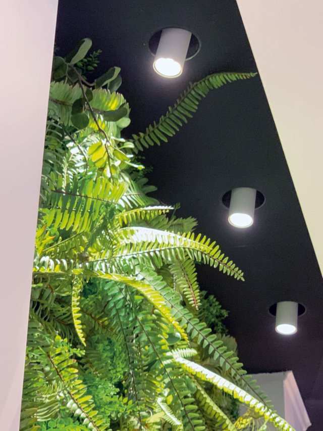 003149_REA05.jpg