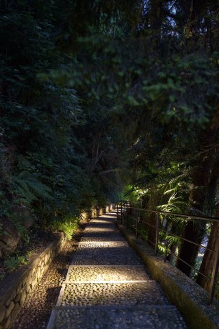 003009_REA34.jpg