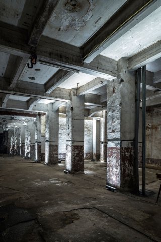 003411_REA016.jpg