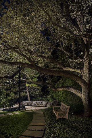 003174_REA11.jpg