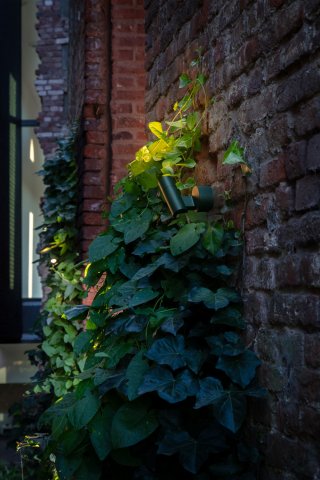 003399_REA16.jpg