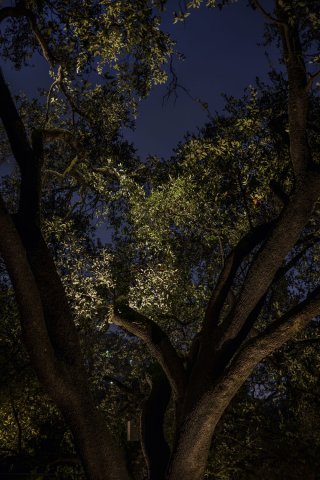 003174_REA26.jpg