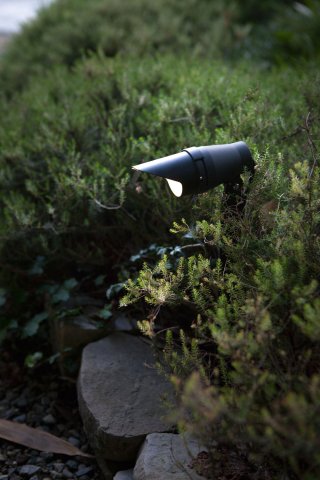 003009_REA42.jpg